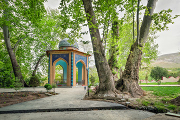 Fototapeta na wymiar Chor-Chinor garden with unusual sycamores, the age of the oldest one is more than 1160 years. Urgut, Samarqand Region, Uzbekistan