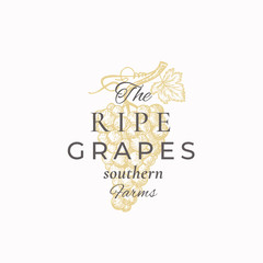 The Ripe Grapes Abstract Vector Sign, Symbol or Logo Template. Grape Bunch with Leaf Sketch Sillhouette with Elegant Retro Typography. Vintage Luxury Emblem.
