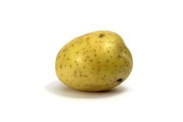 Kartoffelknolle frisch vom Feld gewaschen alleinstehend isoliert