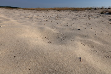 Pofałodany piasek na pustyni, na horyzoncie cienka linia suchej roślinności - obrazy, fototapety, plakaty