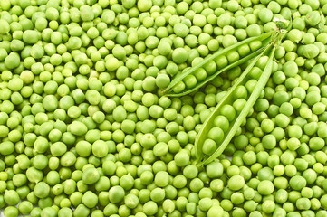 Fototapeta na wymiar Fresh young green peas