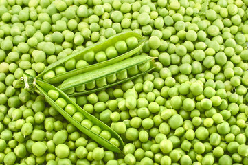 Fototapeta na wymiar Fresh young green peas
