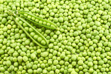 Fresh young green peas