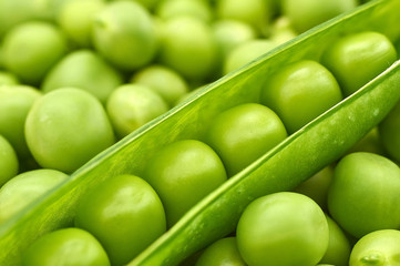 Fresh young green peas