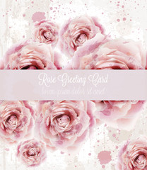 Watercolor pink roses background Vector. Beautiful floral decors