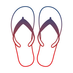 flip flops beach acessory vector illustration design
