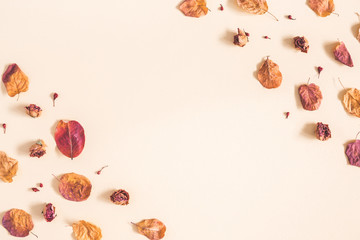 Autumn composition. Frame made of dried flowers and leaves on pastel beige background. Autumn, fall concept. Flat lay, top view, copy space