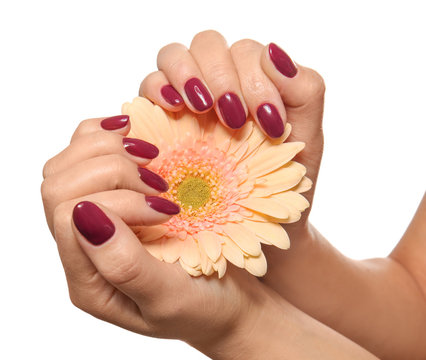 Hands of beautiful young woman with professional manicure and flower on light background - Powered by Adobe