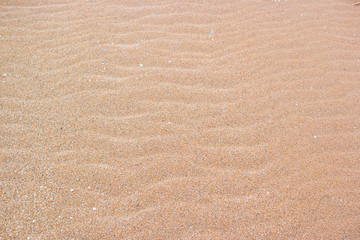 Fototapeta na wymiar background with soft sea sand