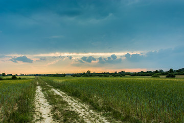 Road through the field and dark clouds