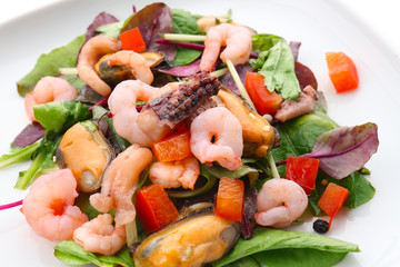 Plate of delicious vegetable salad with seafood, closeup
