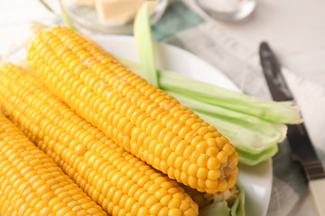 Tasty corn cobs on plate, closeup