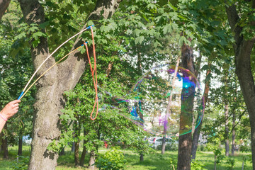 Fototapeta premium Large soap bubbles in the background of trees.