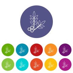 Spa eco leafs icons color set vector for any web design on white background