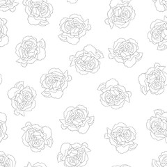 Carnation Outline Background