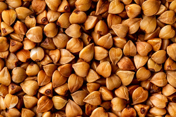 Macro image of buckwheat grain as a natural vegan food background.