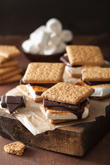 homemade marshmallow s'mores with chocolate on crackers