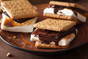 homemade marshmallow s'mores with chocolate on crackers