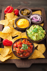 mexican nachos tortilla chips with guacamole, salsa and cheese dip
