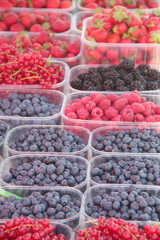 Raspberries, blueberries, blackberries, Currants and Strawberries put in plastic baskets in a local food market stall 