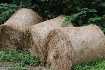 Hay bales