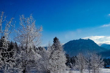 Fototapeta na wymiar Winter in Hoefen Austria