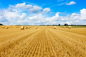 Photo sur Plexiglas Campagne Balles de paille dorées jaunes de foin dans le champ de chaume, champ agricole sous un ciel bleu avec des nuages