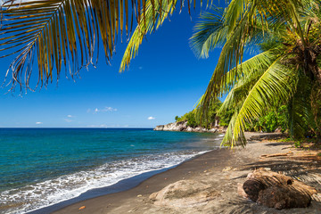 Dominica Beach, Caribbean