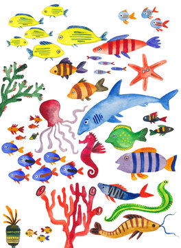 watercolor collection of sea fish. Underwater world, fish, sharks, stingrays, corals