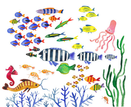 watercolor collection of sea fish. Underwater world, fish, sharks, stingrays, corals