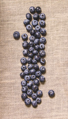 blueberry berries on a textured cloth