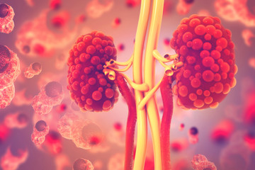 Kidney disease