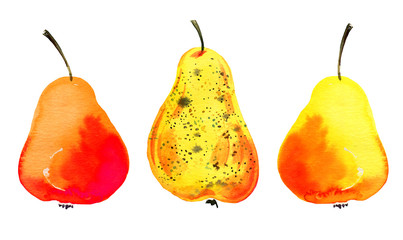Stylized hand drawn watercolor illustration set with pears