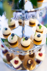 Cupcakes with blueberry on cake stand. Banquet table