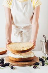 cropped shot of woman making delicious layered cake on white