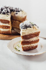 close-up shot of delicious sliced blackberry cake on plate