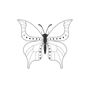 Abstract butterfly outline icon