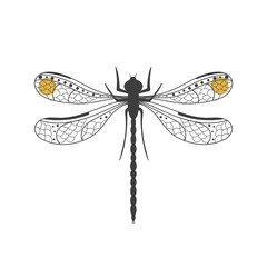 Black dragonfly isolated on white background
