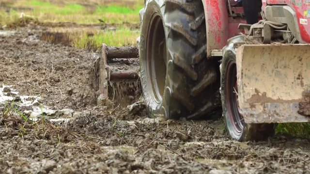 Slow motion : People using  big tractor in rice field
