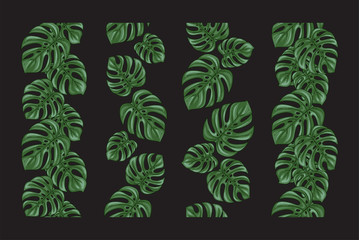 Monstera seamless borders set