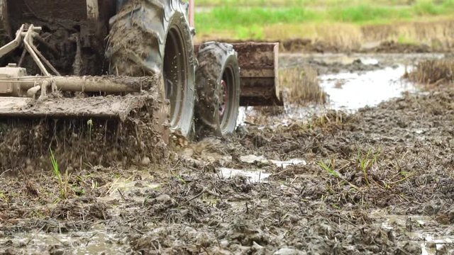 Slow motion : People using  big tractor in rice field