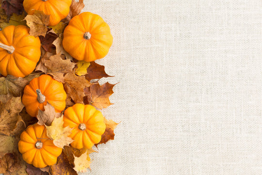 Fall themed pumpkin background autumn border Horizontal