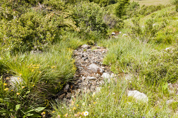  Sils, Segl, Val Fex, Fextal, Wanderweg, Marmorè, Alpen, Oberengadin, Graubünden, Sommer, Schweiz