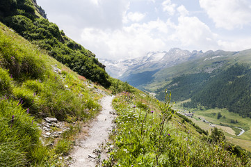 Sils, Segl, Val Fex, Fextal, Wanderweg, Wanderer, Marmorè, Fexgletscher, Alpen, Oberengadin, Graubünden, Sommer, Schweiz