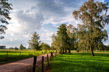Obraz premium Lato na Podlasiu