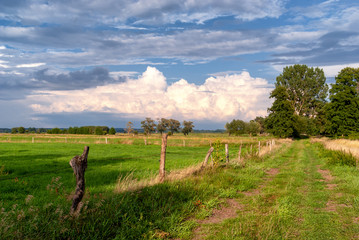 Lato na Podlasiu