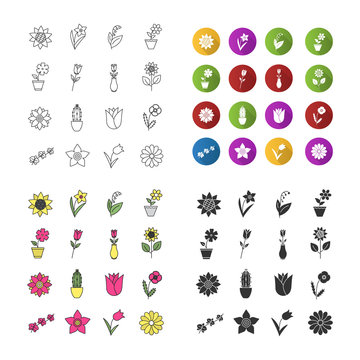 Flowers icons set