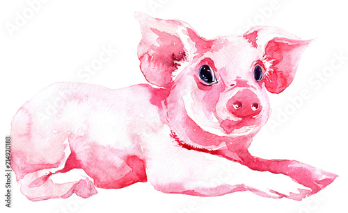 Download "Isolated watercolor clipart with watercolor pig" Stock ...
