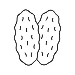 Thymus gland linear icon