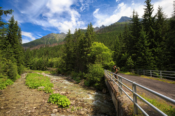 Koprova valley dolina in Slovak High Tatras under Krivan  © losonsky